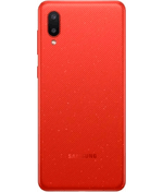 back view