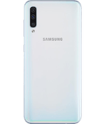 back-view