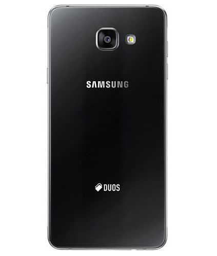back-view