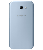back view