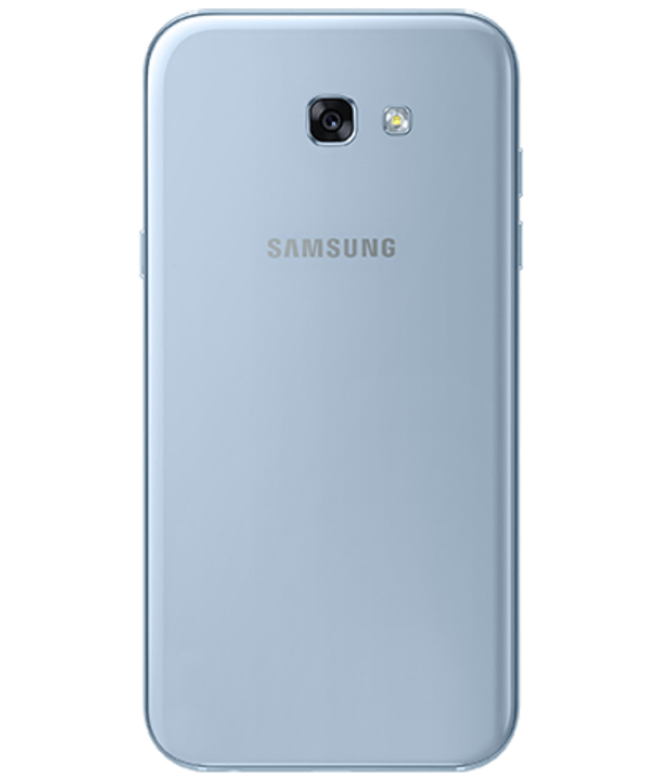 back view