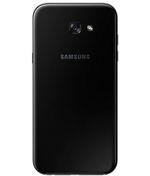 back-view