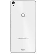 back-view