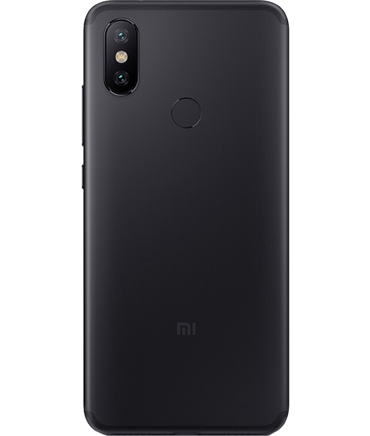back-view