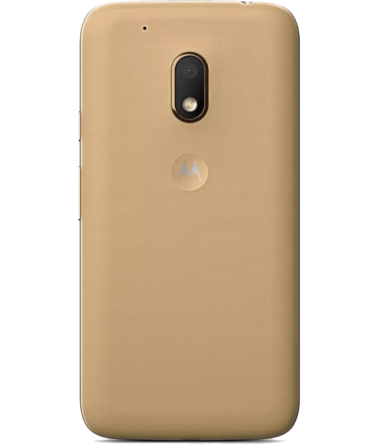 back-view