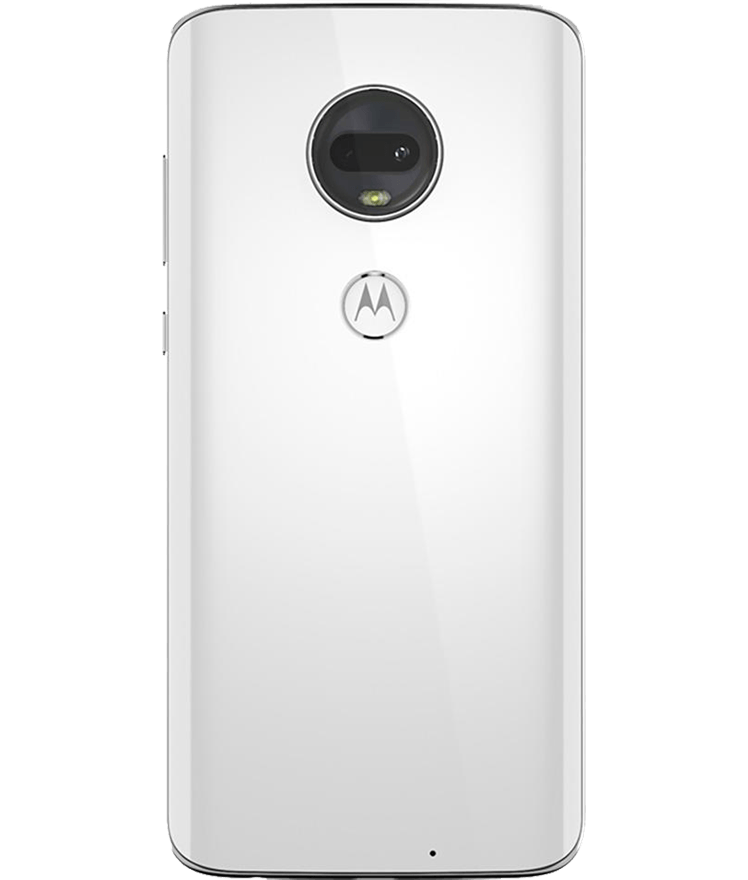 back-view