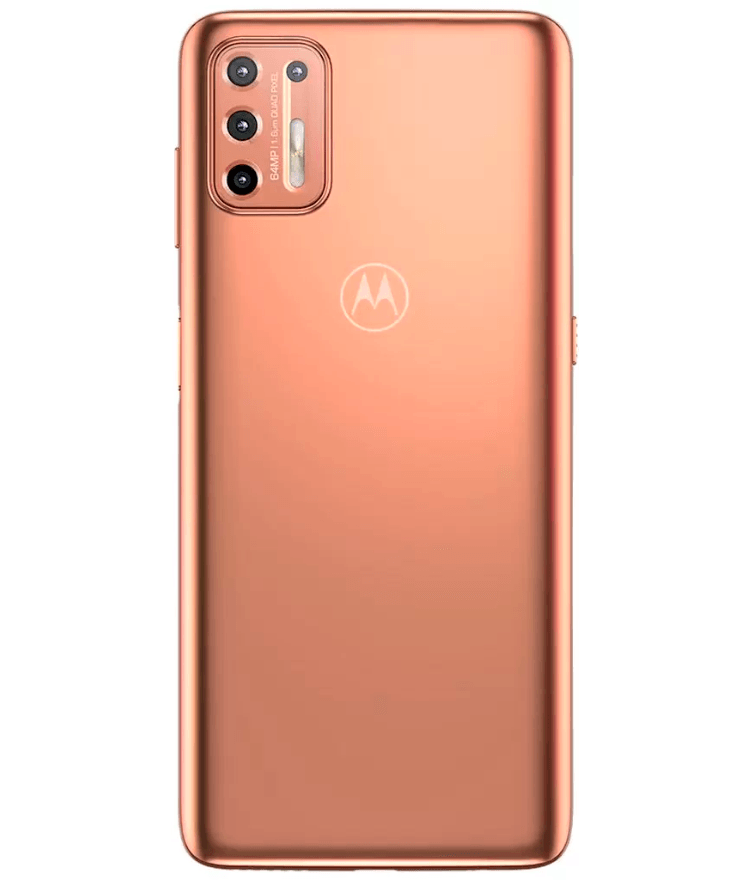 back-view