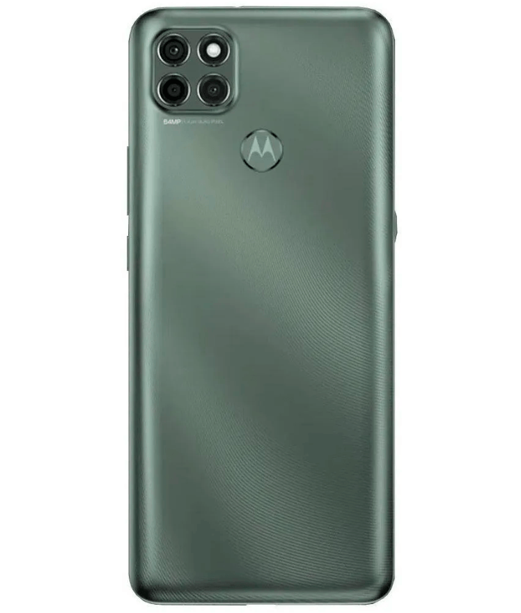 back-view