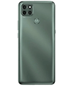 back_view