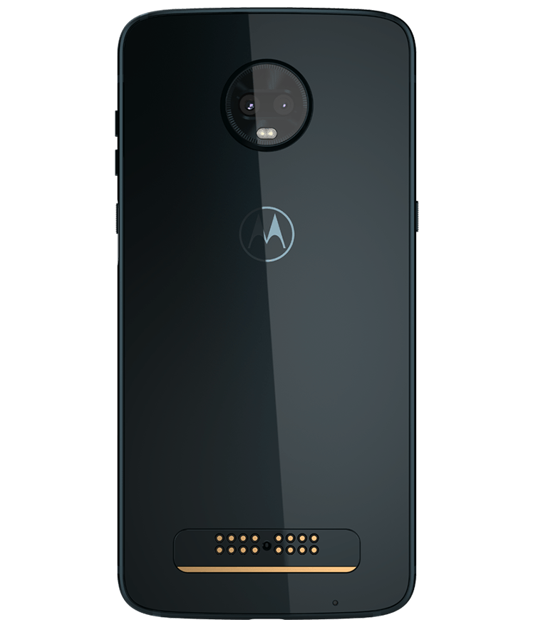 back-view