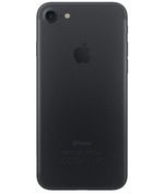 back_view
