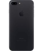 back_view