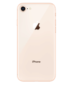 back-view