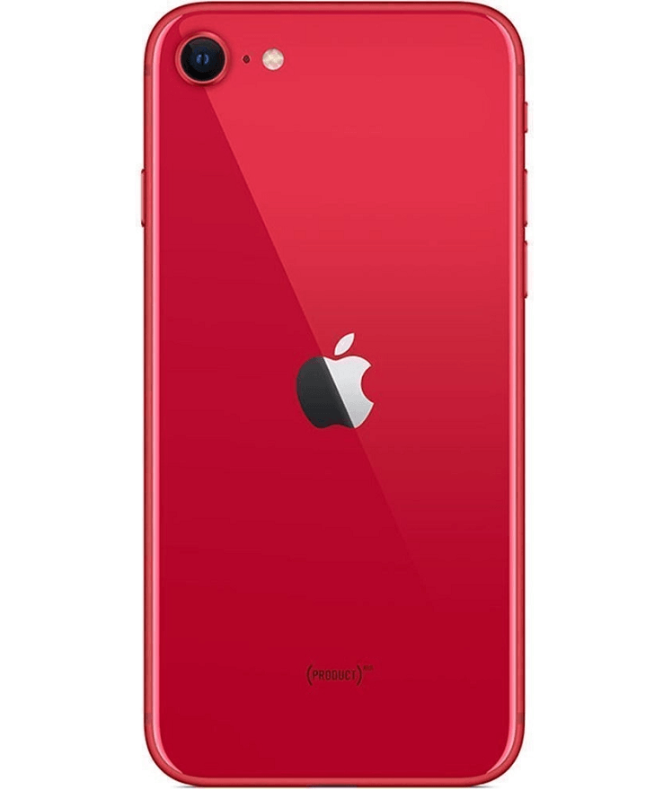 back_view