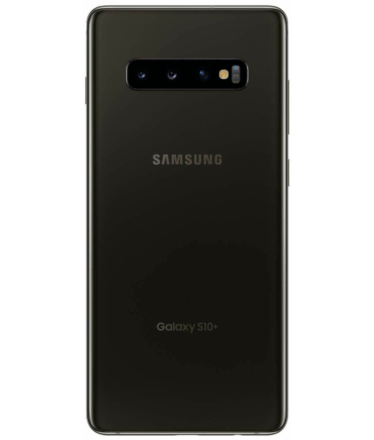 back-view