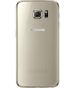 back-view