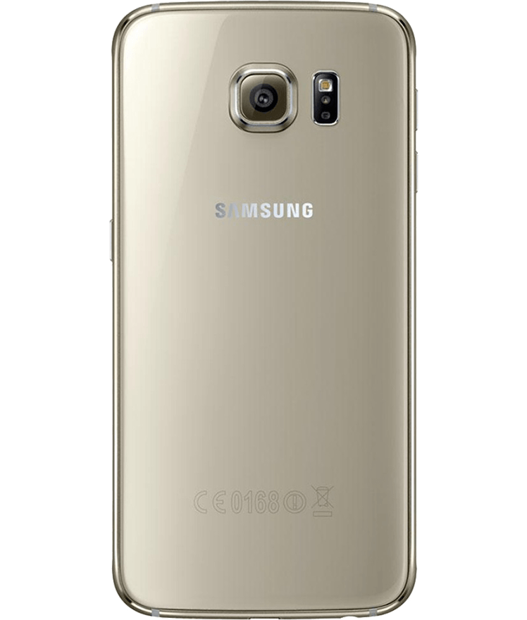 back-view