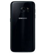 back-view
