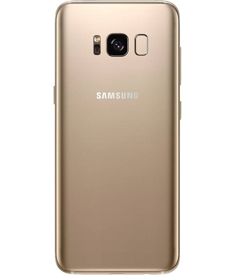 back-view