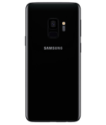 back_view