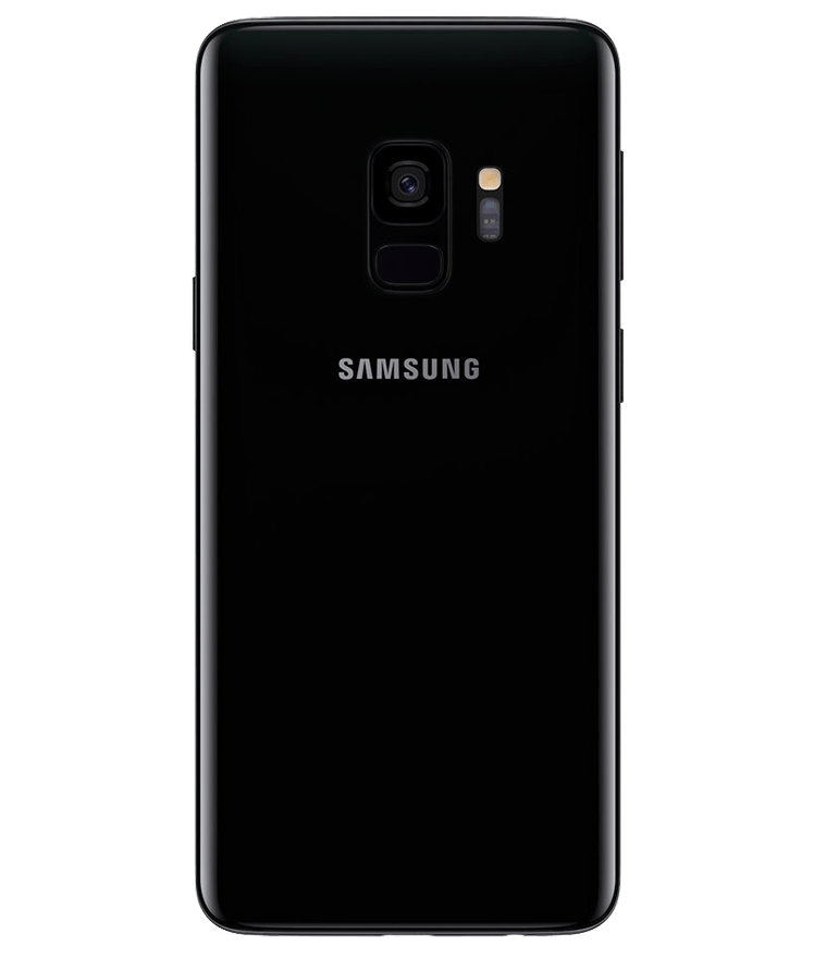 back_view