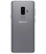 back-view