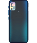 back_view