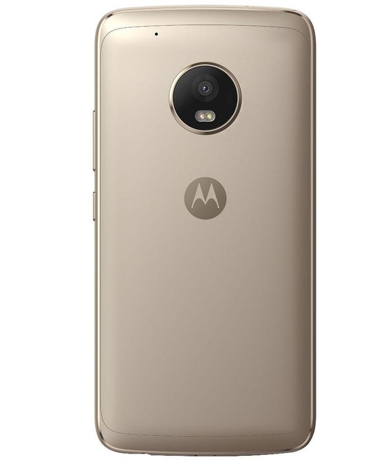 back-view