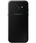 back-view