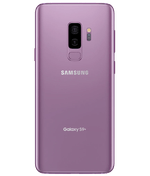 back-view