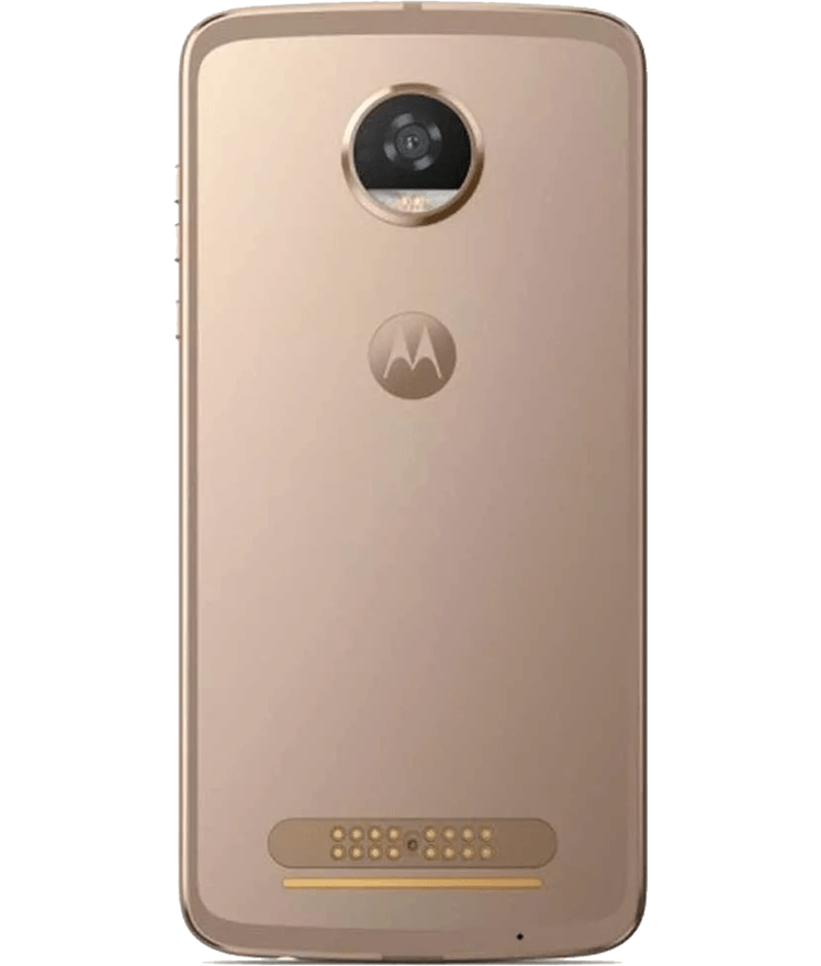 back-view