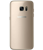back-view