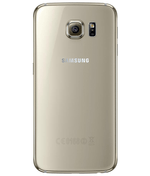 back-view