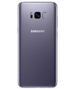 back-view