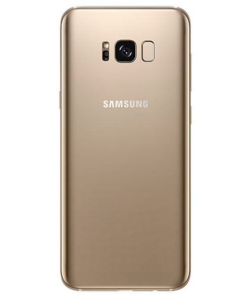 back-view