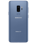 back-view