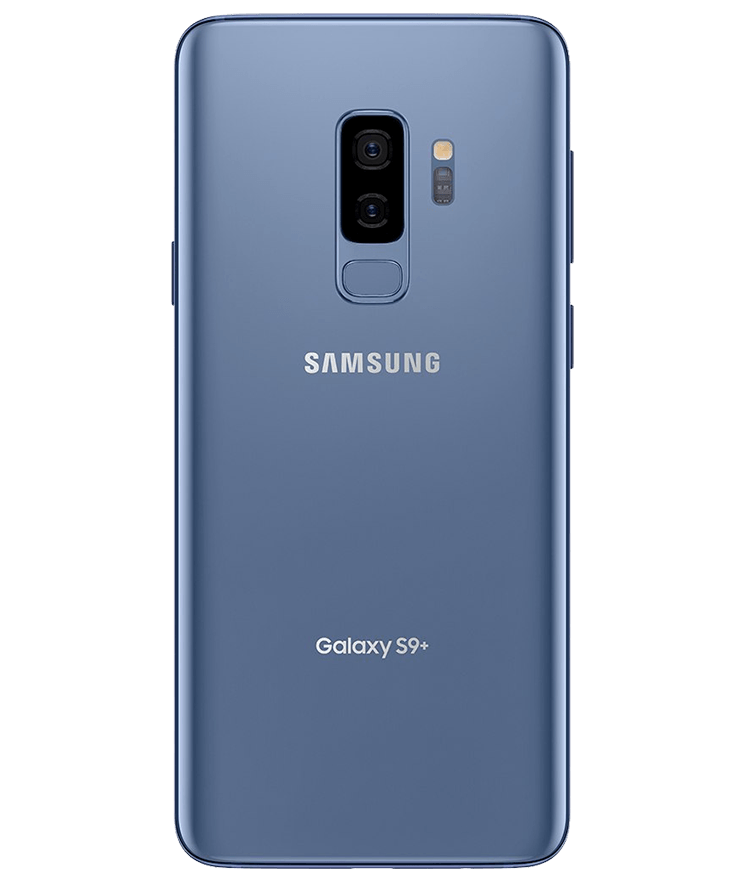 back-view