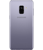 back-view