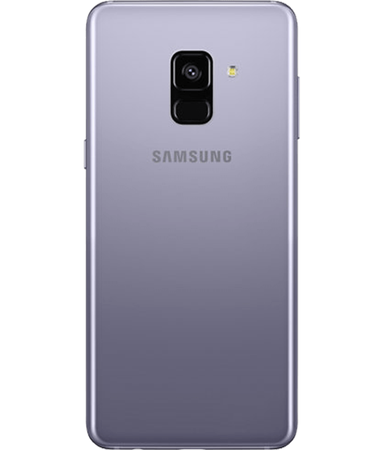 back-view