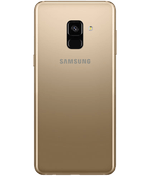 back-view