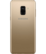 back-view