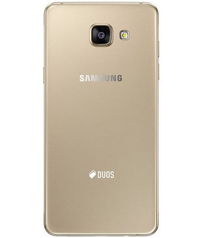back-view