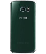 back-view