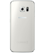 back-view