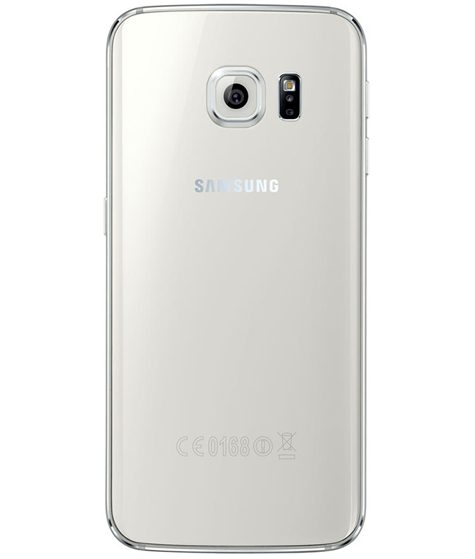 back-view