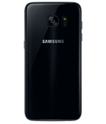 back_view