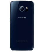 back-view