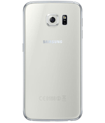 back-view