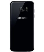 back-view
