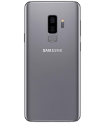 back-view